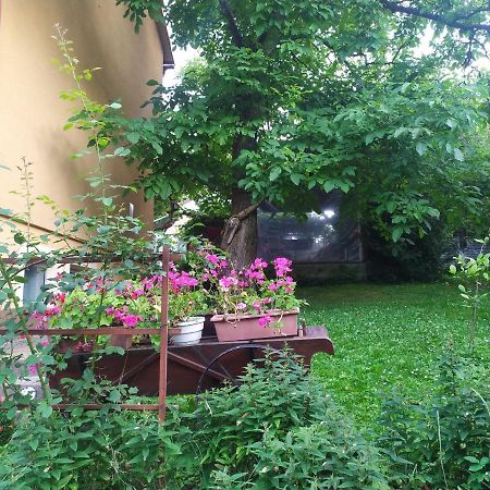 Apartament W Domu Na Wsi Tomaszów Lubelski Buitenkant foto