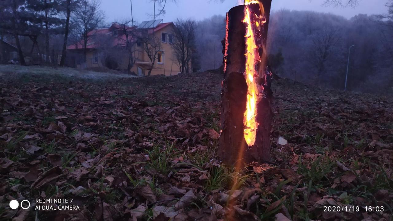 Apartament W Domu Na Wsi Tomaszów Lubelski Buitenkant foto