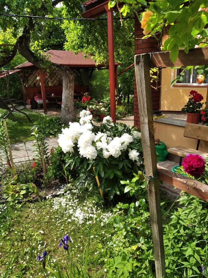 Apartament W Domu Na Wsi Tomaszów Lubelski Buitenkant foto