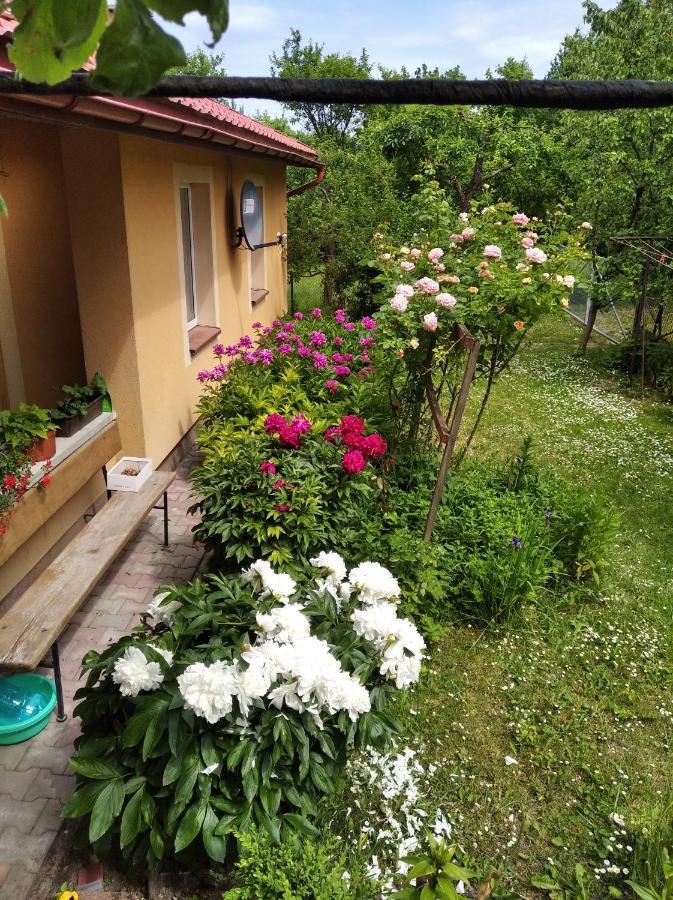 Apartament W Domu Na Wsi Tomaszów Lubelski Buitenkant foto