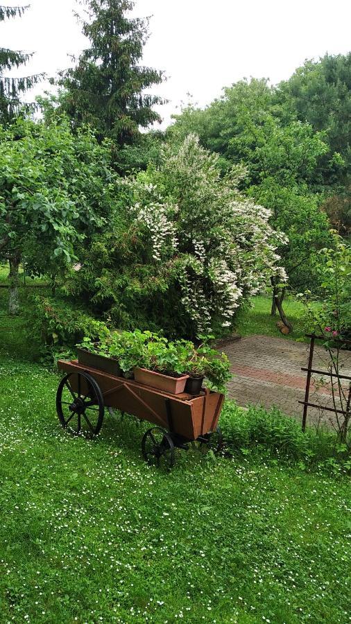Apartament W Domu Na Wsi Tomaszów Lubelski Buitenkant foto
