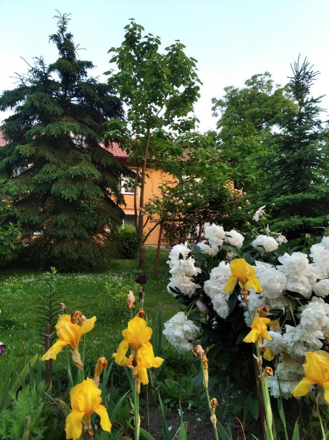 Apartament W Domu Na Wsi Tomaszów Lubelski Buitenkant foto