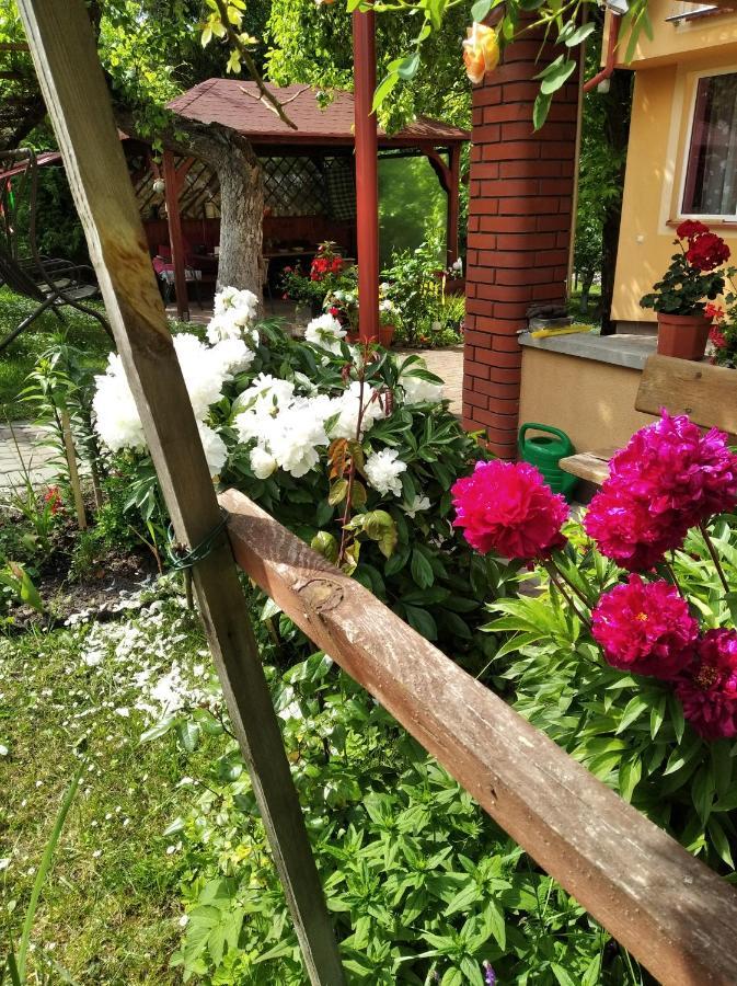Apartament W Domu Na Wsi Tomaszów Lubelski Buitenkant foto